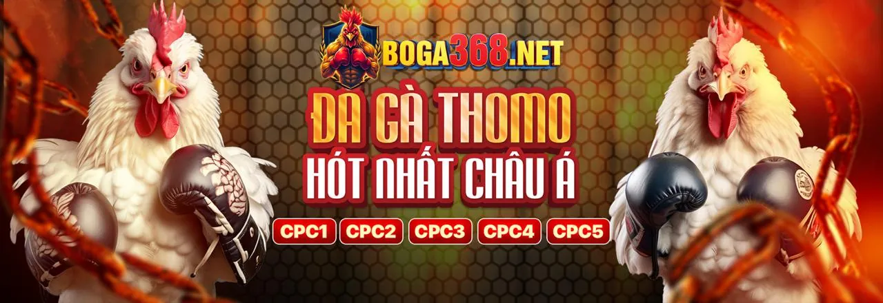 Sảnh Đá Gà Trực Tuyến Pog79 Link Mới 2026
